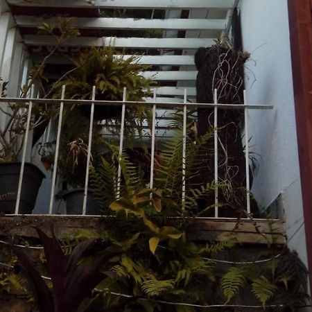 Hostel Mdemarilia Nova Friburgo Exterior photo